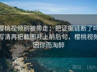 樱桃视频别被带走：把证据链断了吗写清再把截图补上前后句，樱桃视频因你而淘醉